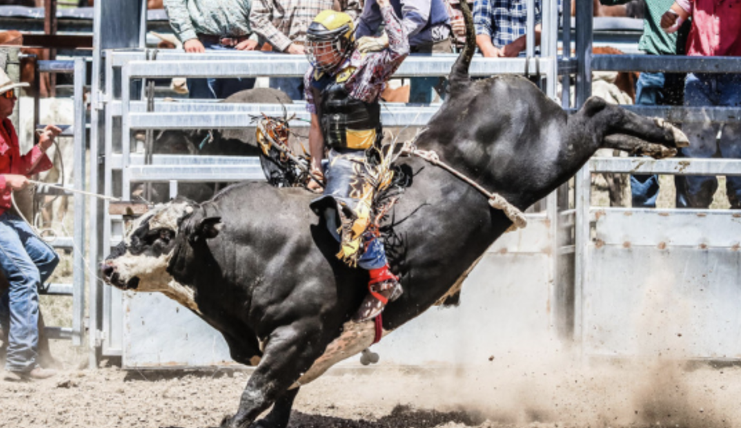 NZ Rodeo – Upcoming Events